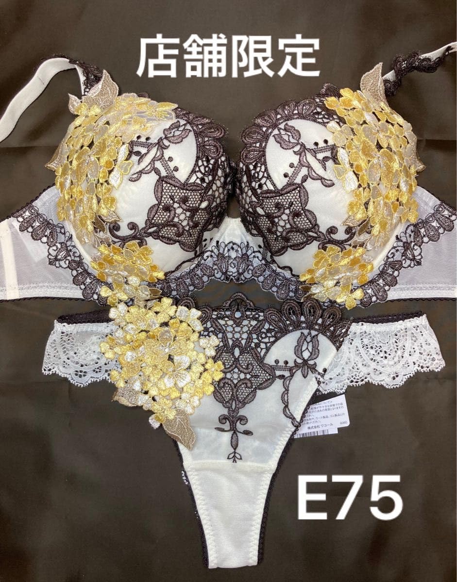 サルート E75 ソング M 【公式通販】